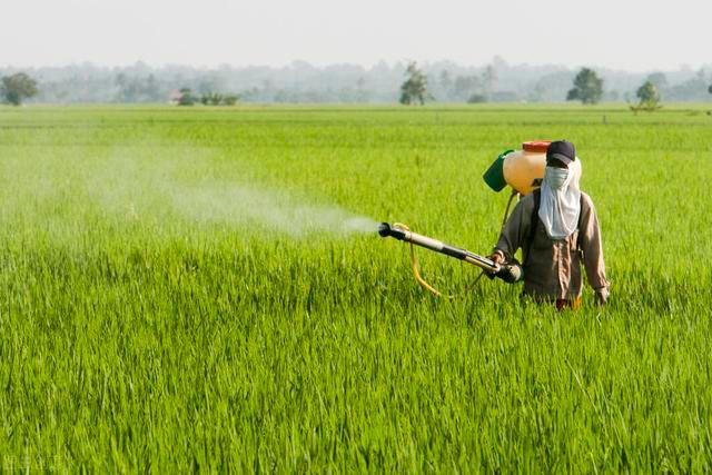 農(nóng)業(yè)化學(xué)品